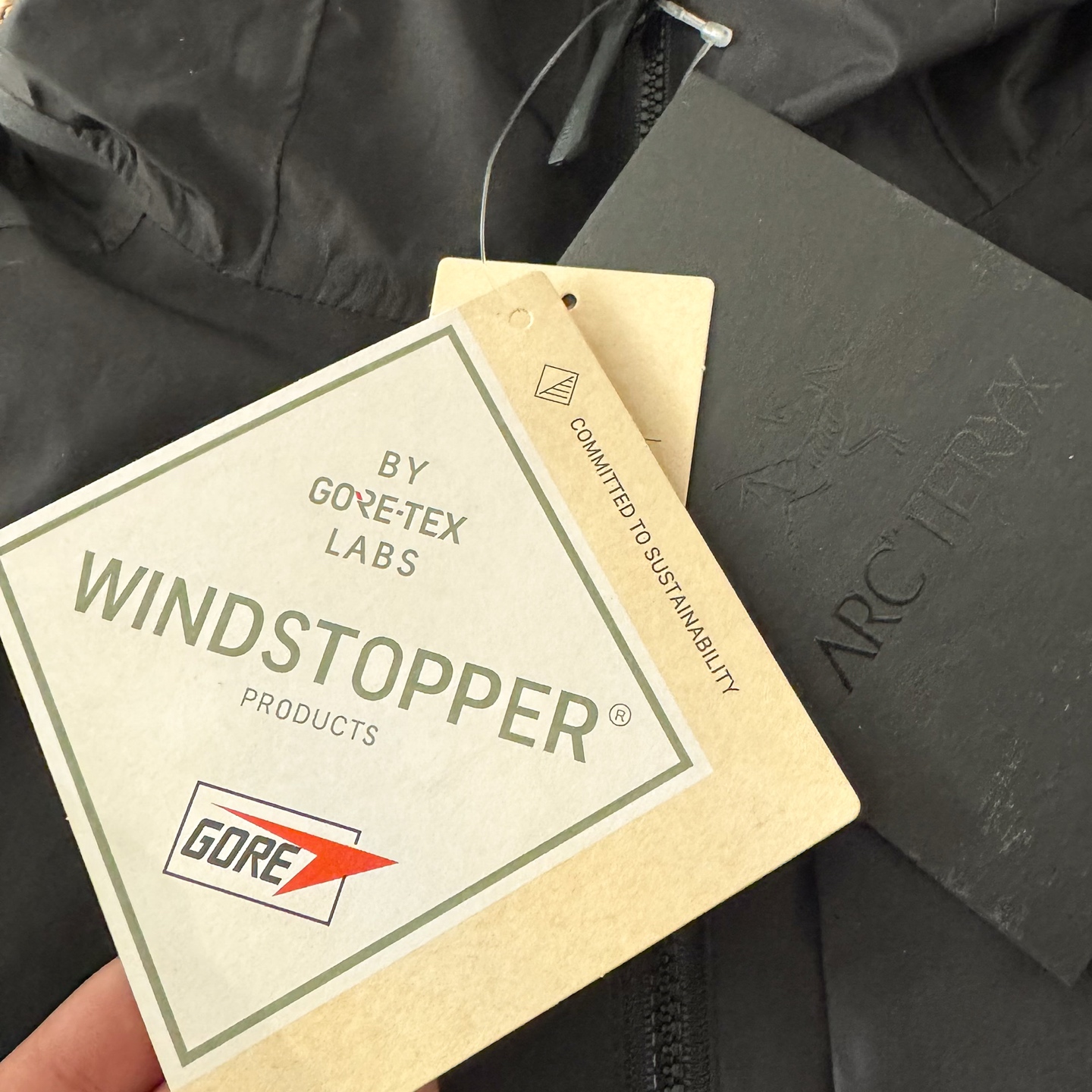 Arc'teryx down jacket