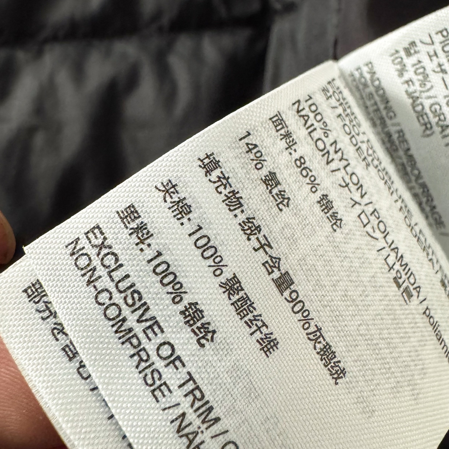 Arc'teryx down jacket