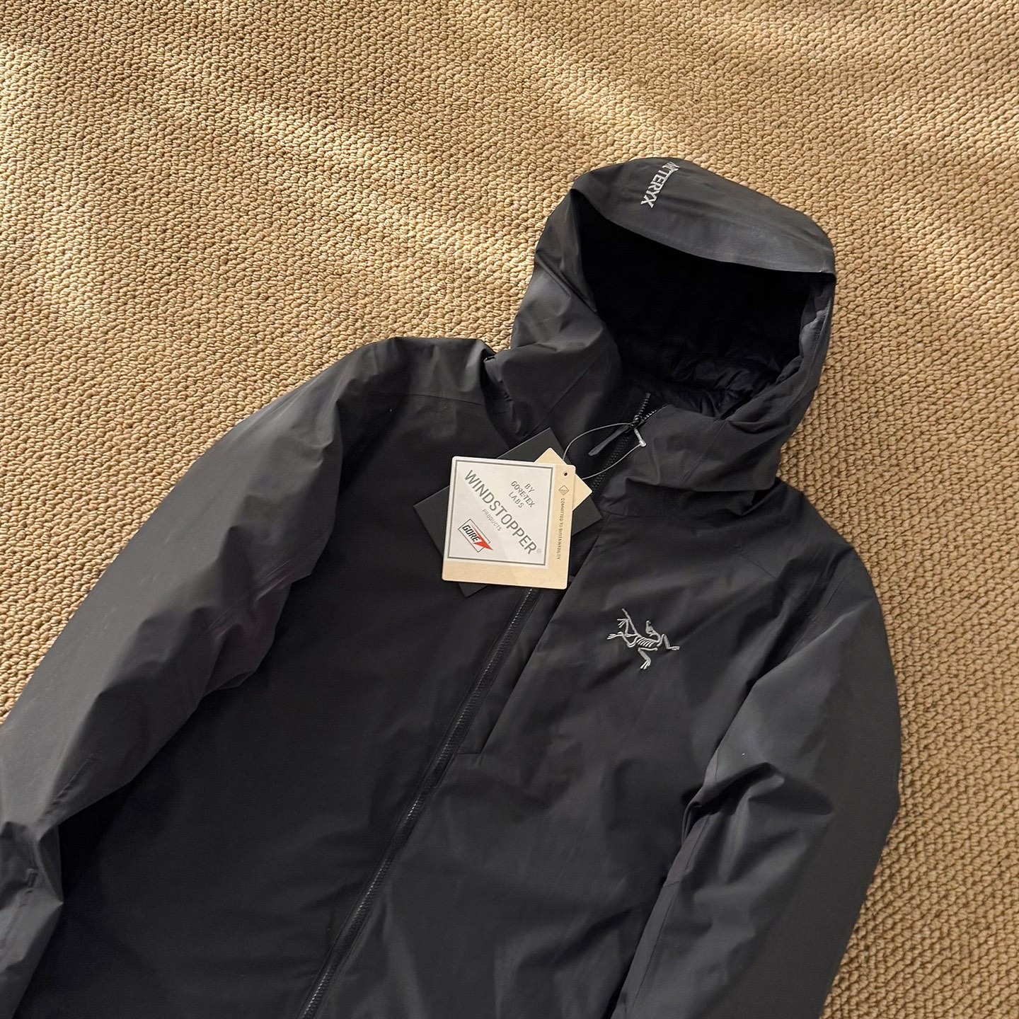 Arc'teryx down jacket
