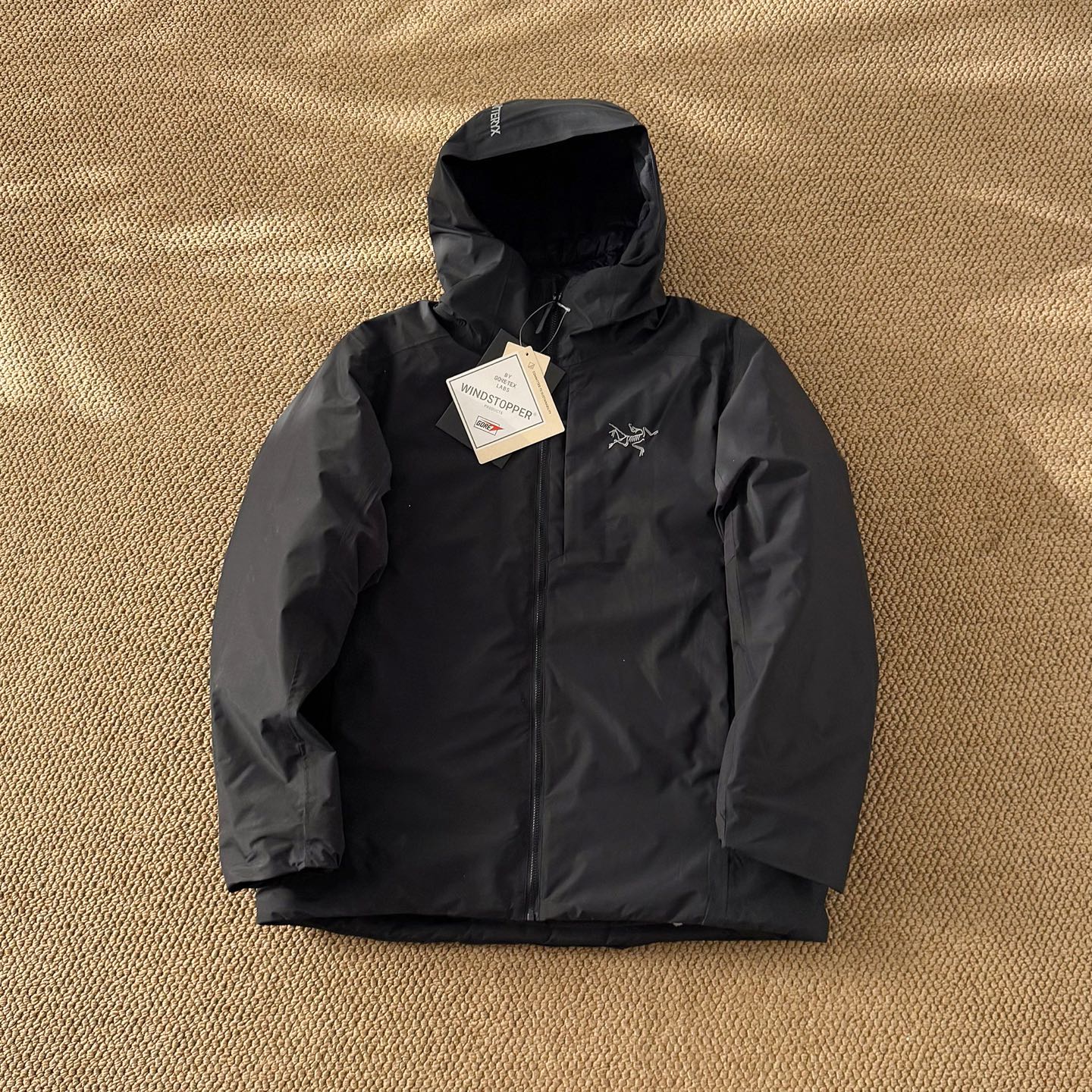 Arc'teryx down jacket