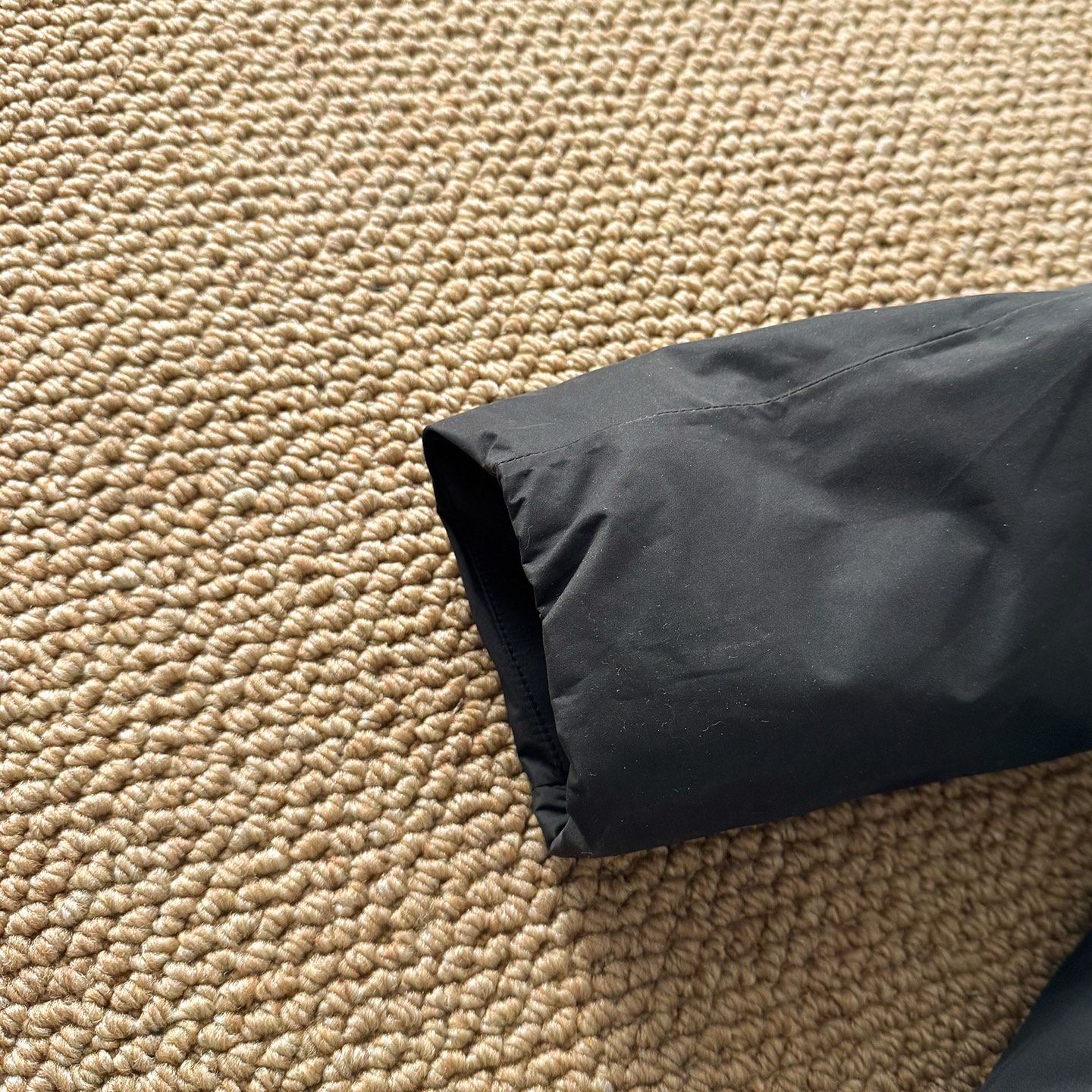 Arc'teryx down jacket