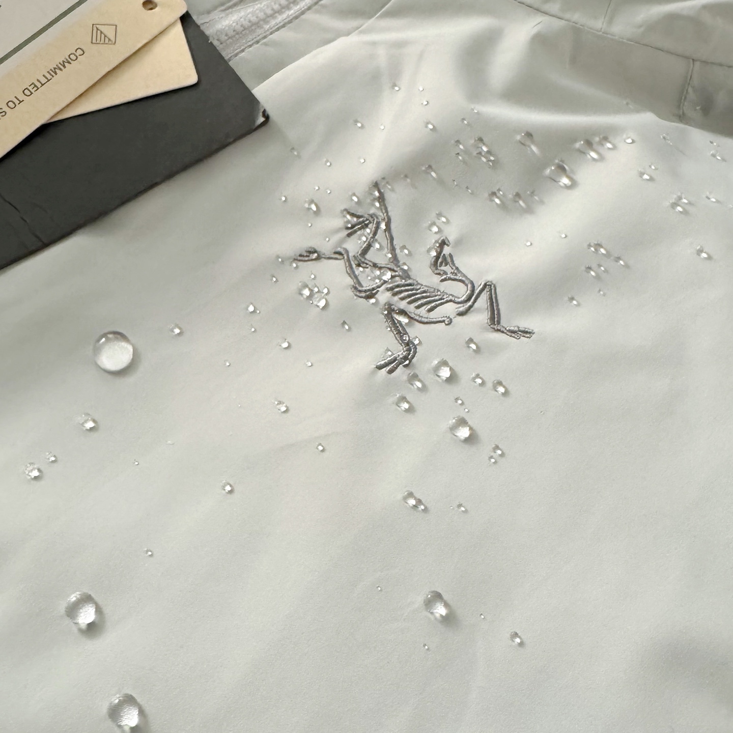 Arc'teryx down jacket