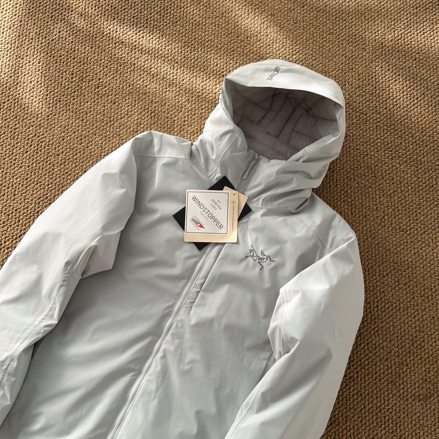 Arc'teryx down jacket