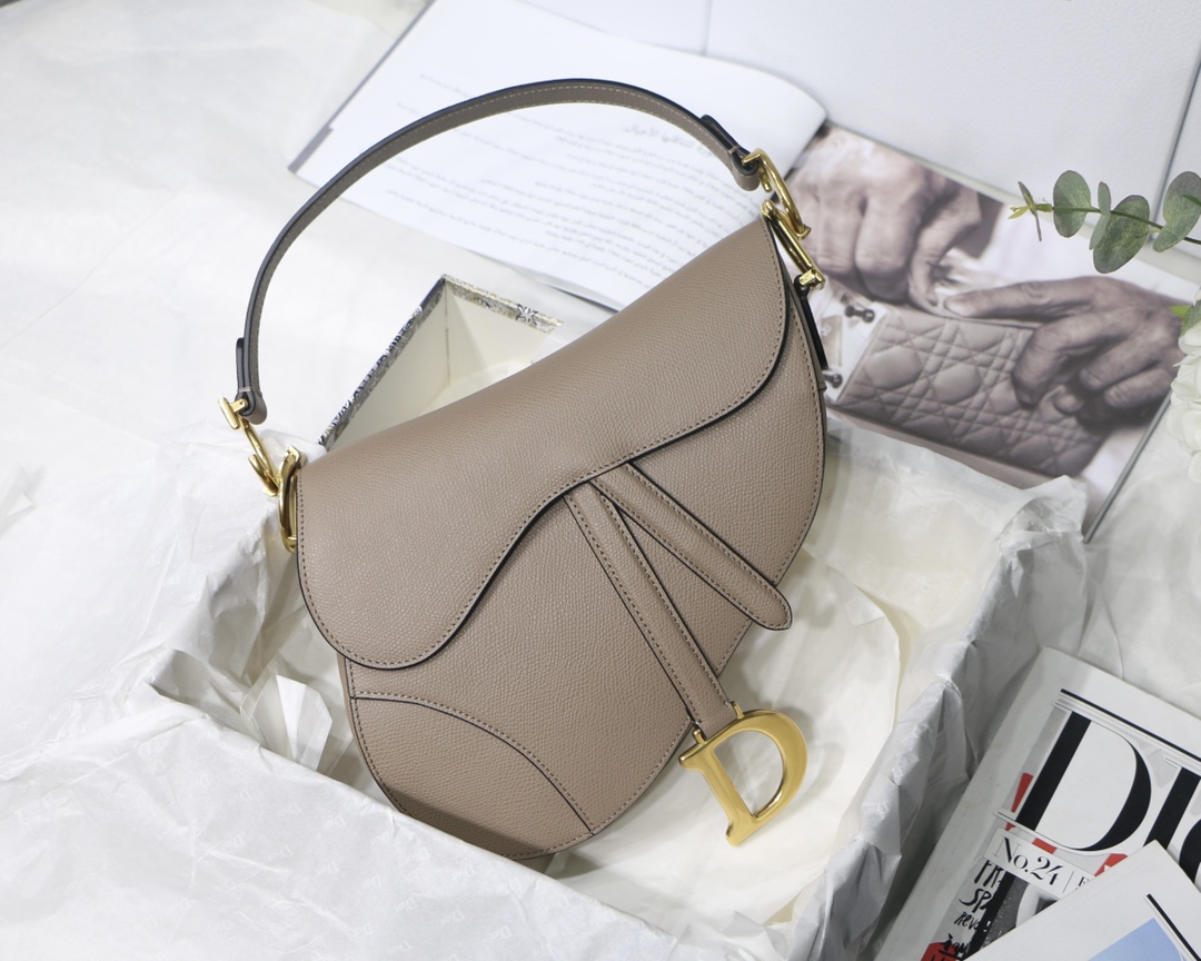 Dior Saddle Bag