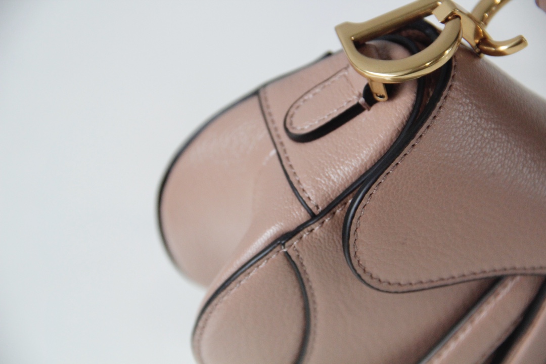 Dior Mini Saddle Bag