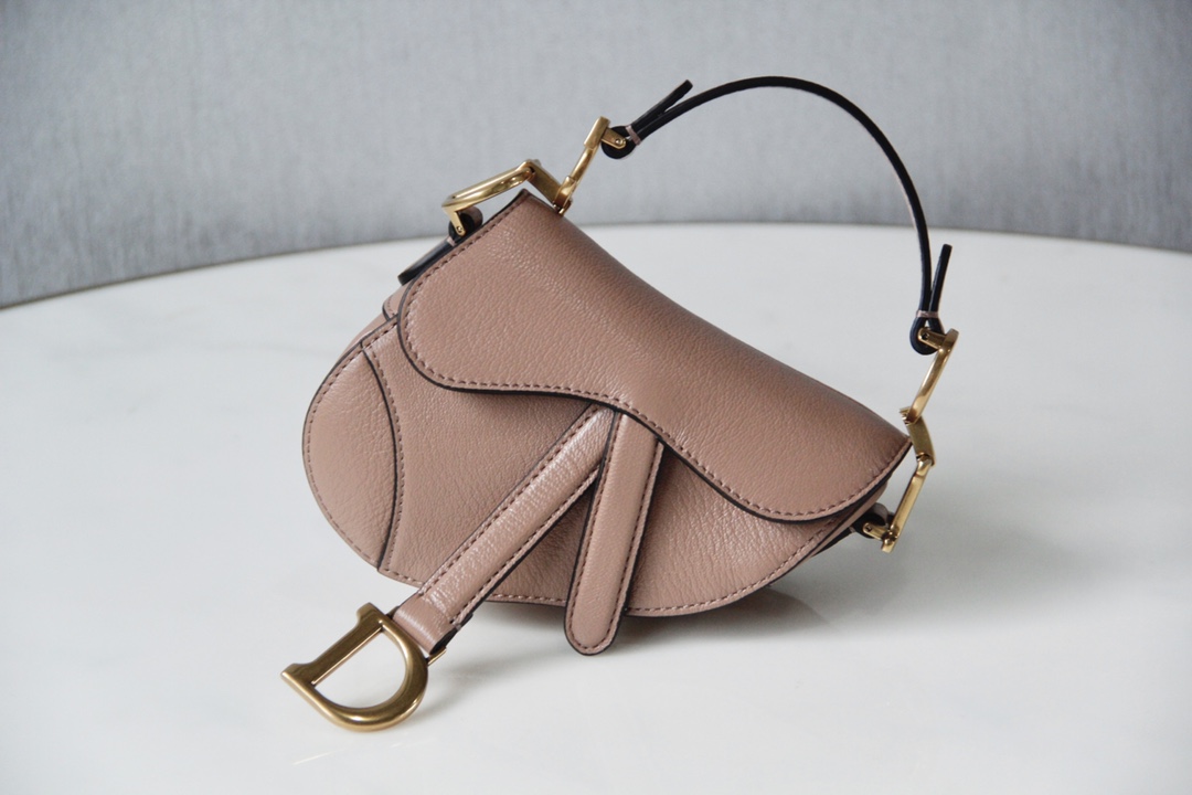 Dior Mini Saddle Bag