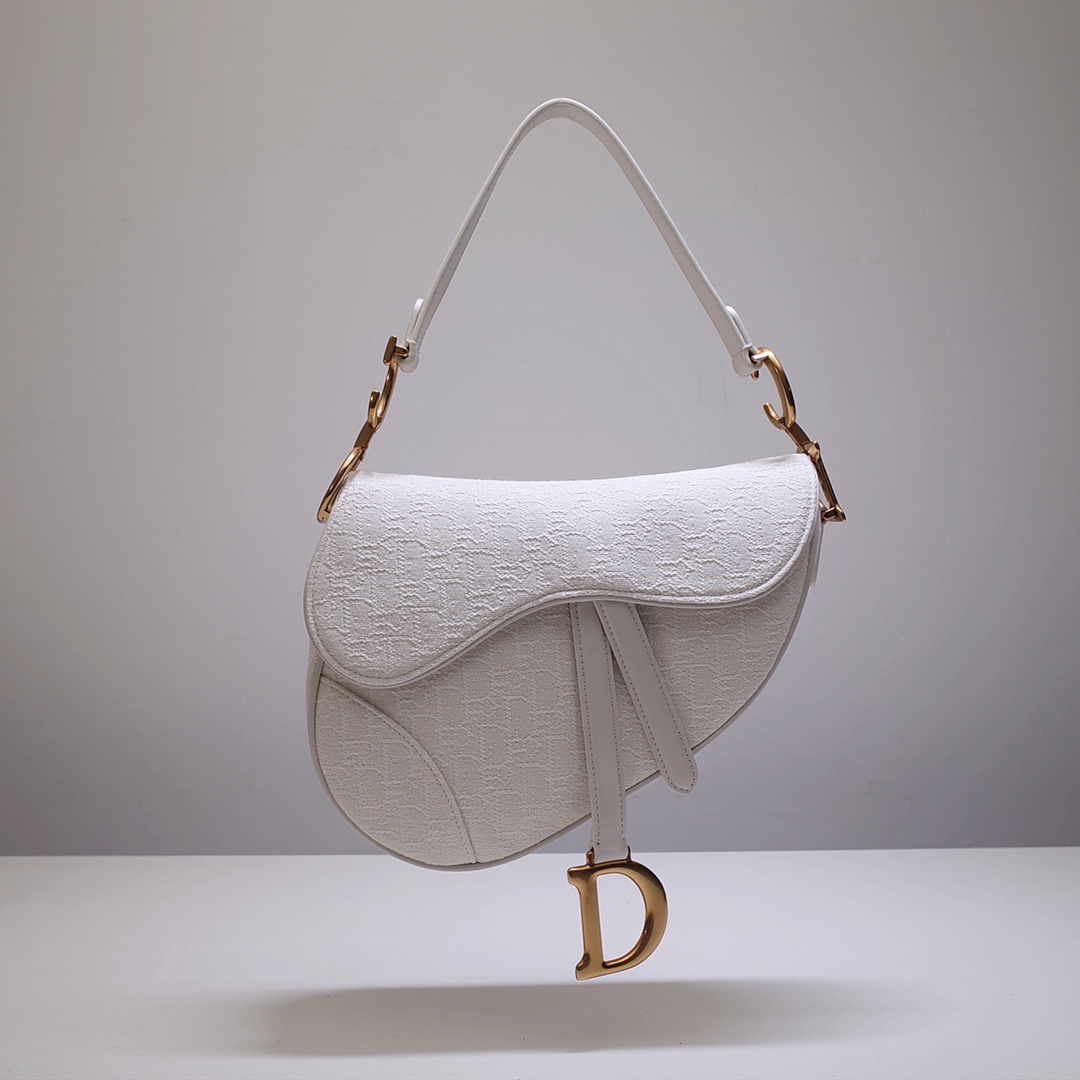 Dior Saddle Bag​