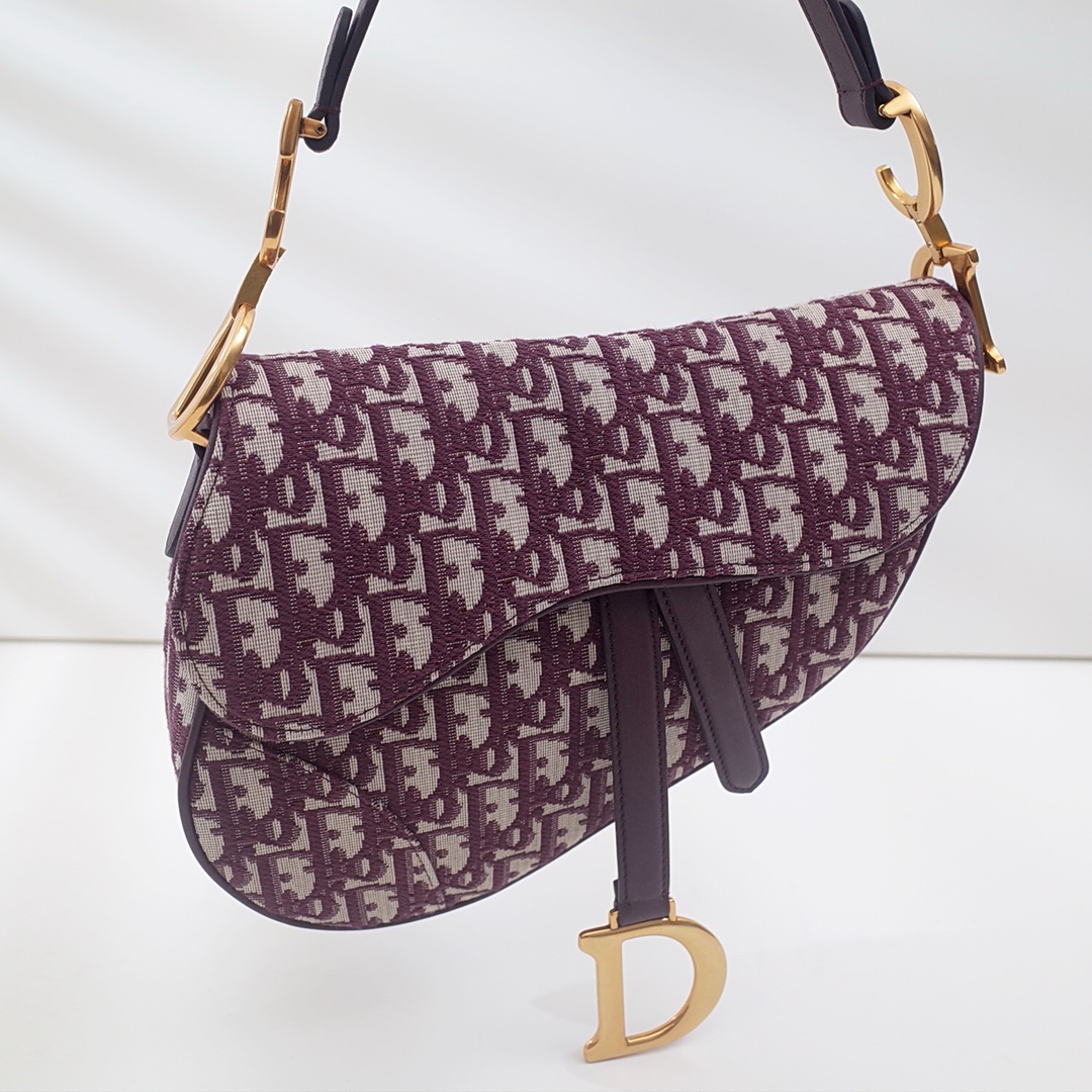 Dior Saddle Bag