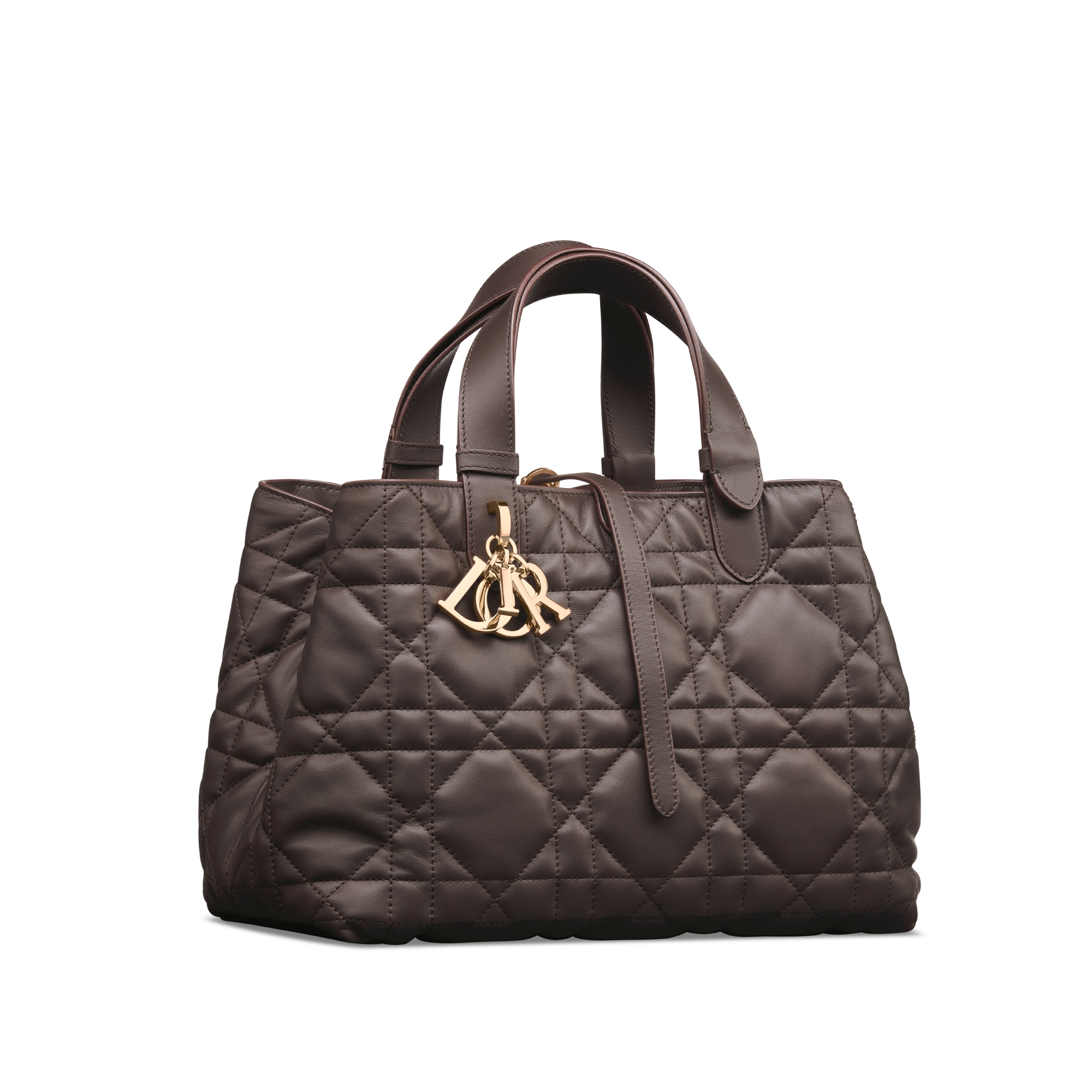 Replica Medium Dior Toujours Bag