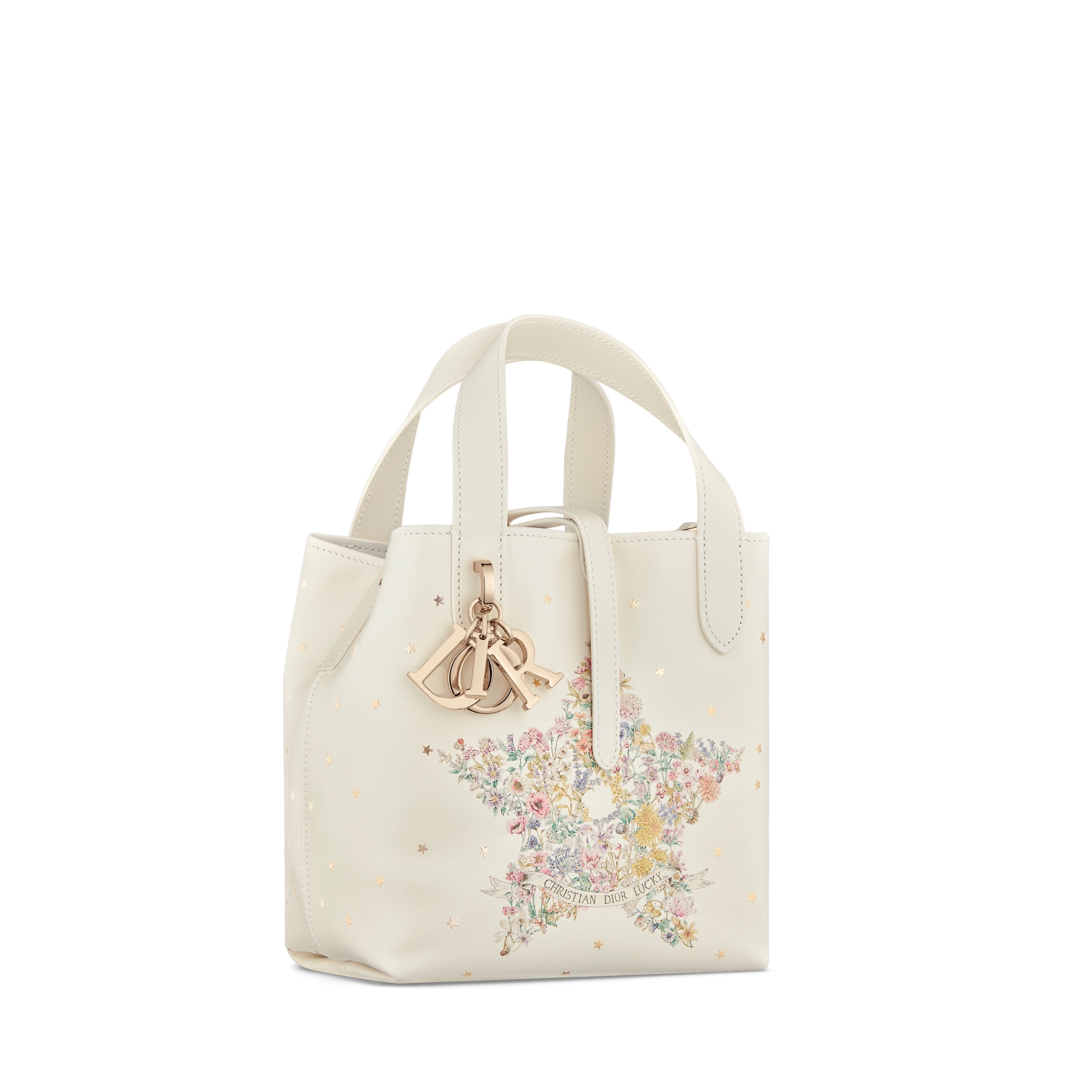 Replica Dior Lucky Small Dior Toujours Vertical Tote Bag