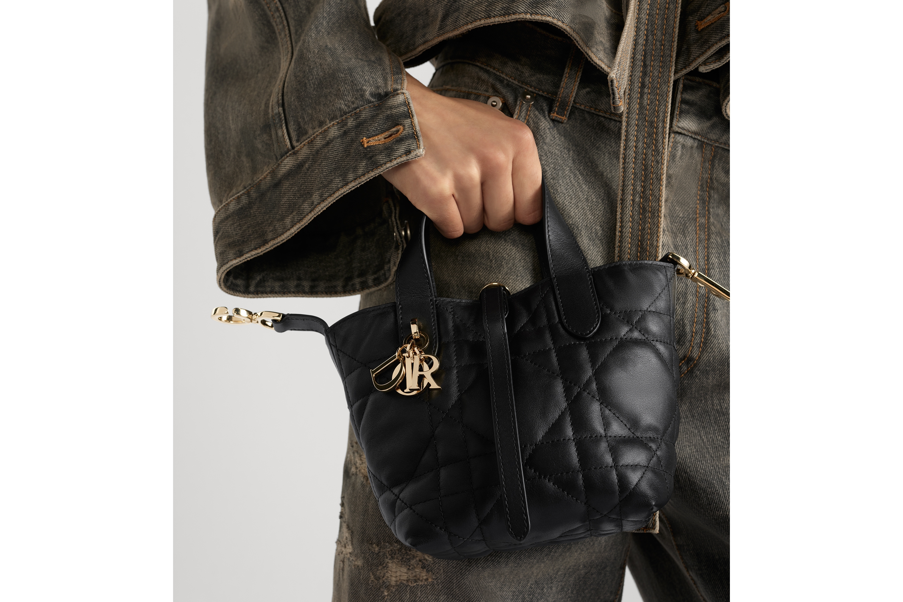 Replica Dior Toujours Vertical Nano Tote Bag