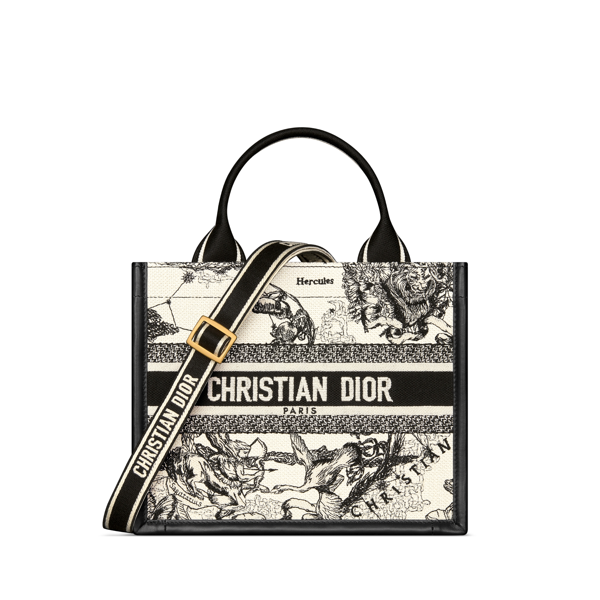 Replica Small Dior Book Tote