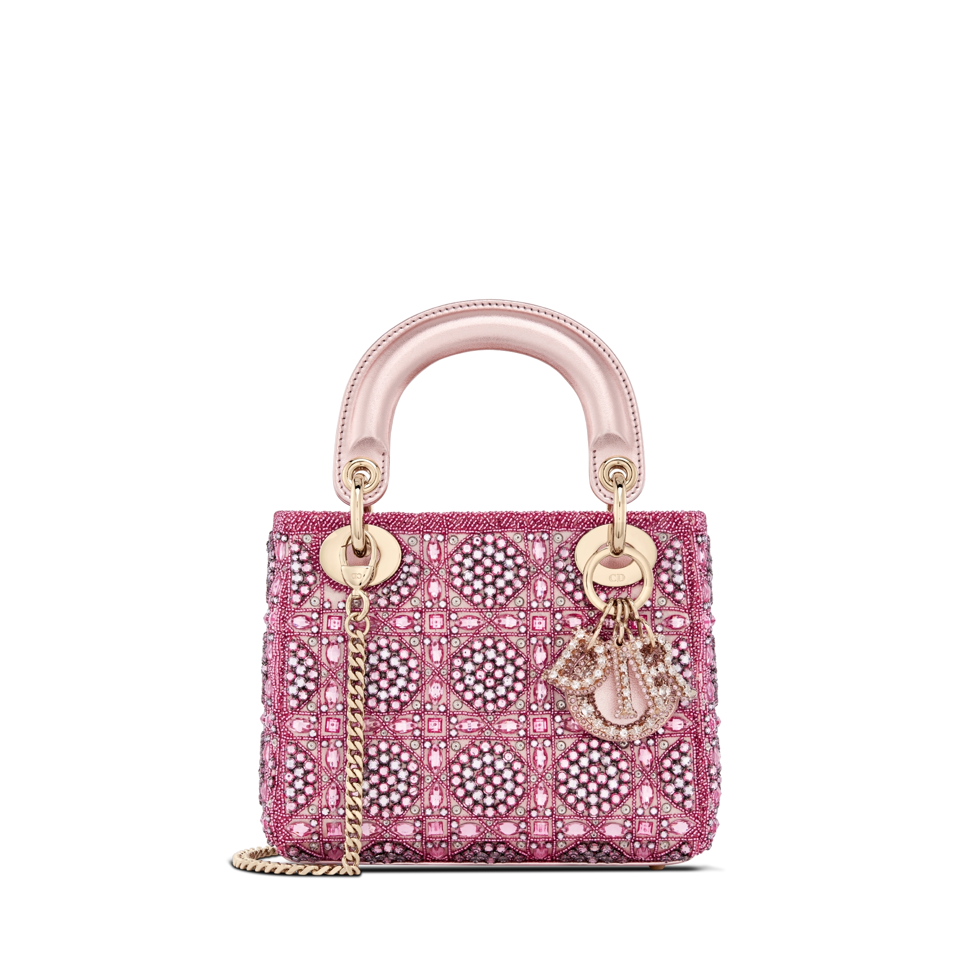 Lady Dior & Saddle