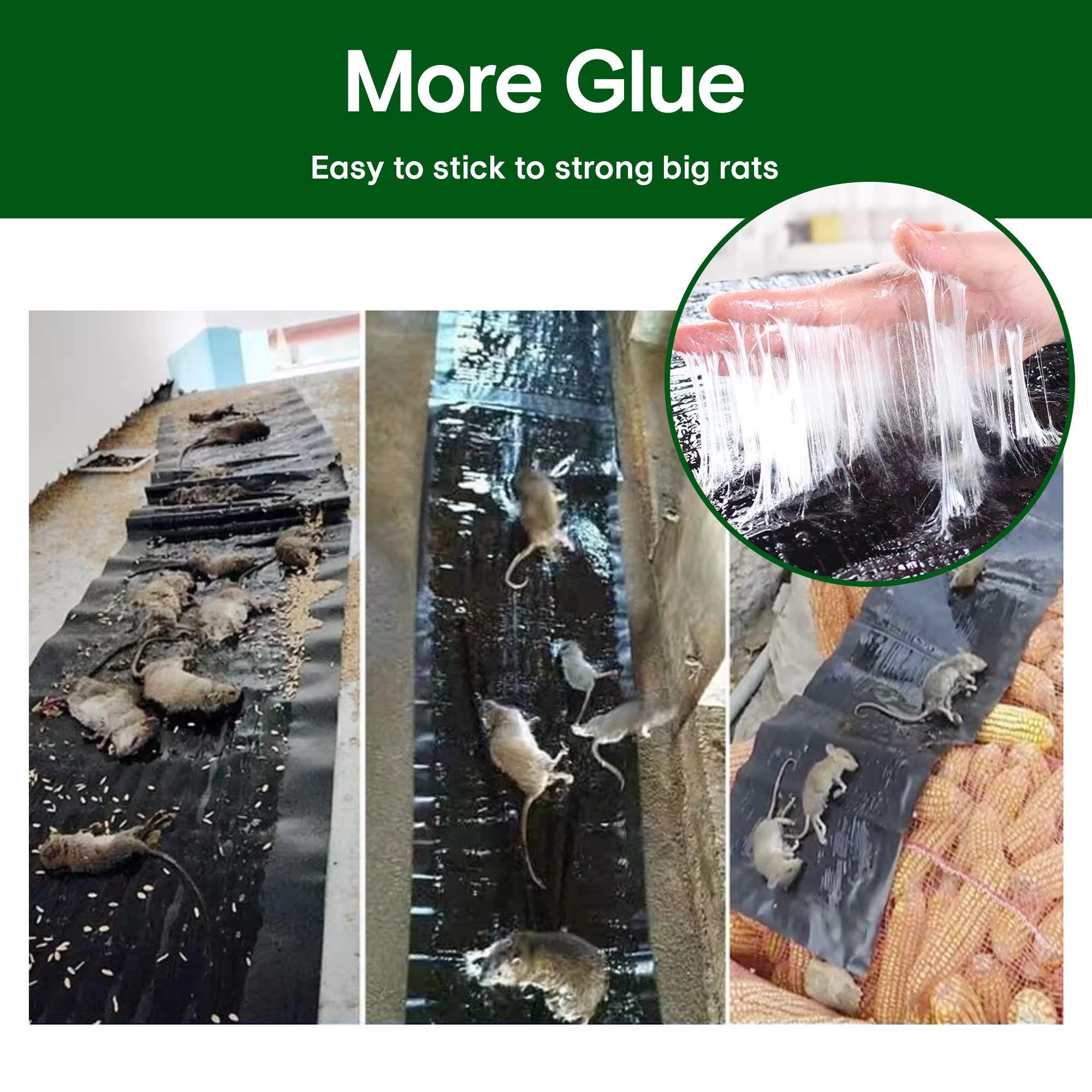 Large Sticky Mouse Trap - No Way To Escape