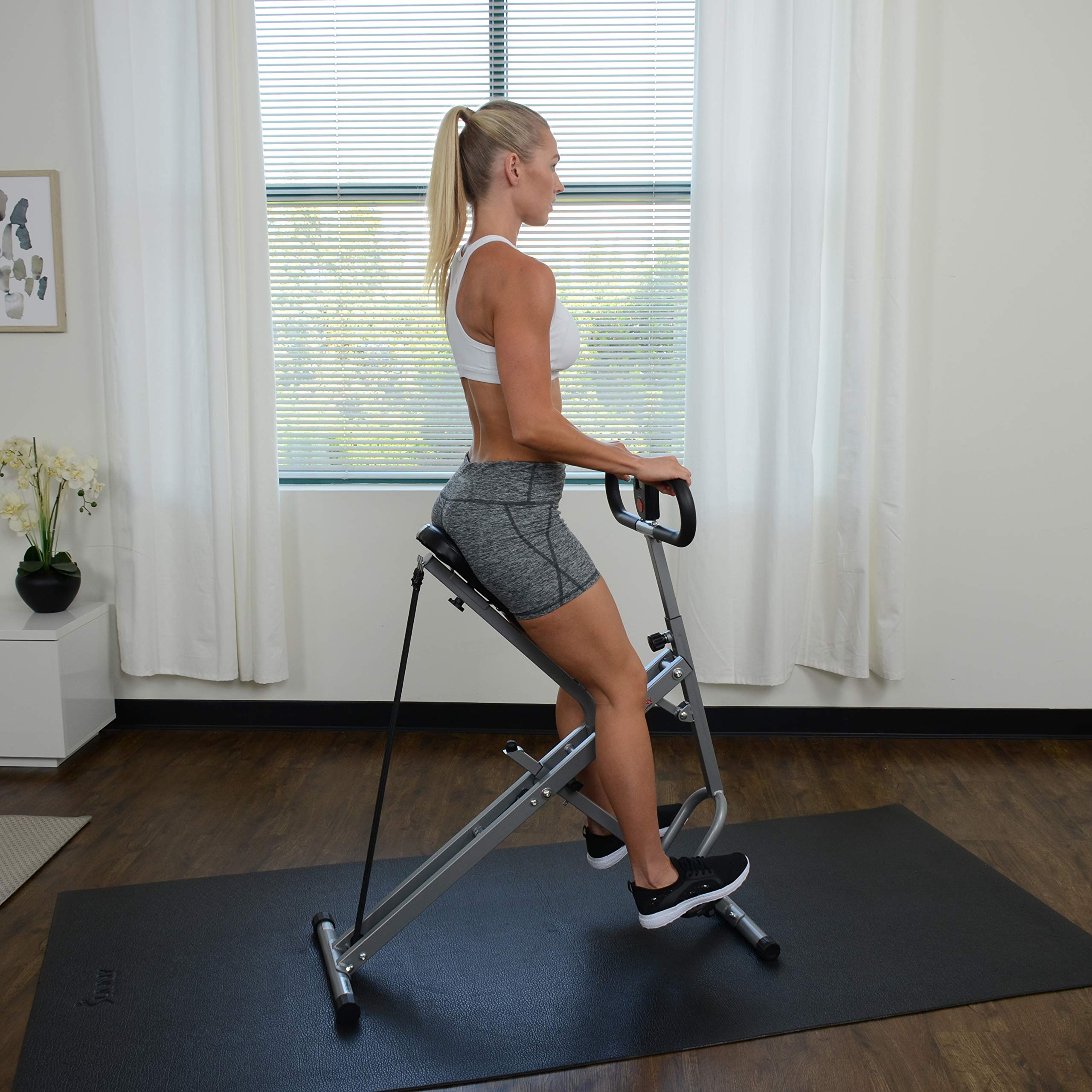 Sunny Health Fitness Row N Ride Adjustable
