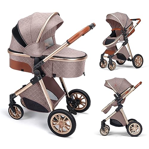 Stroller Pushchair Landscape Reversible Reclining