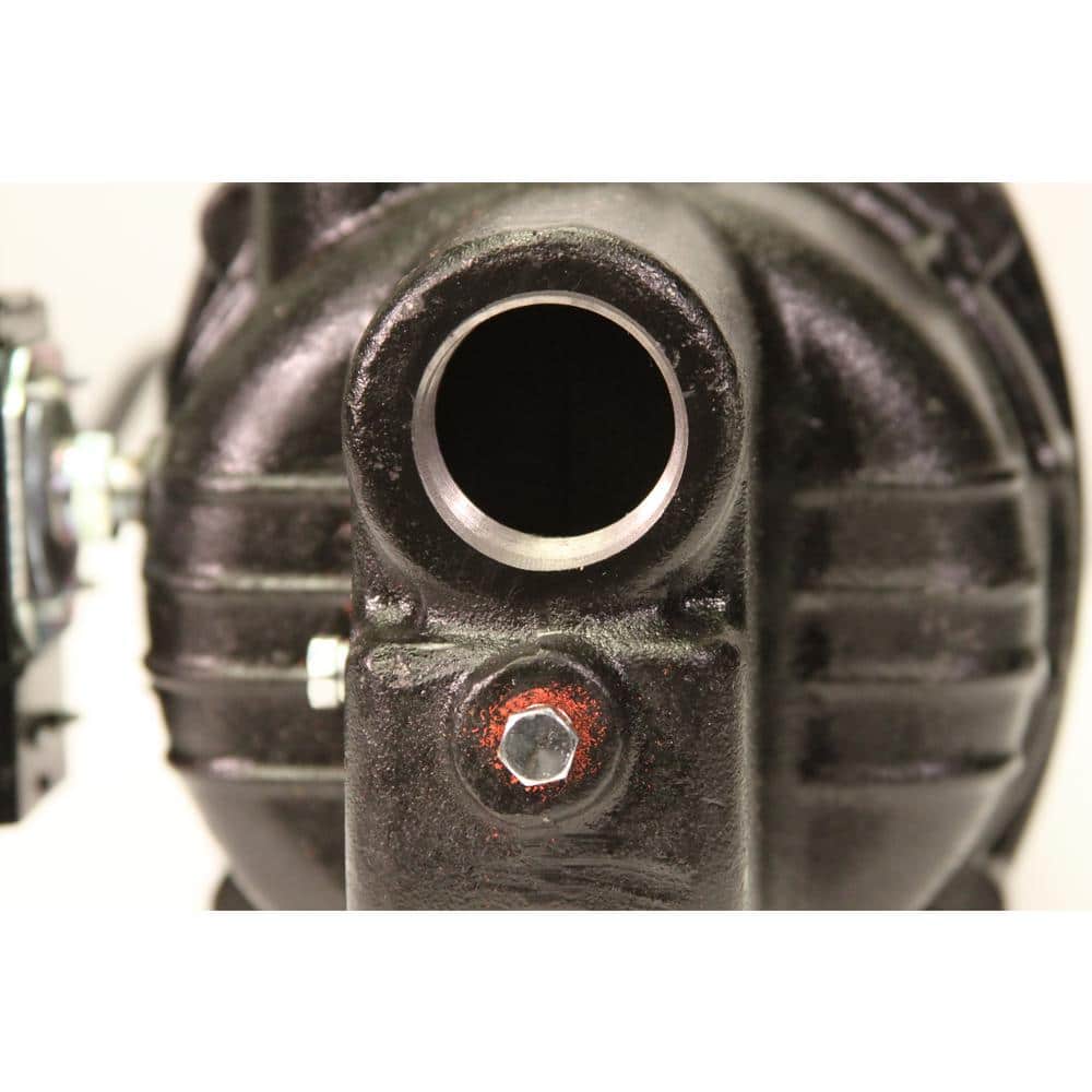 3/4 HP Cast Iron Shallow Well Jet Pump RSWS75