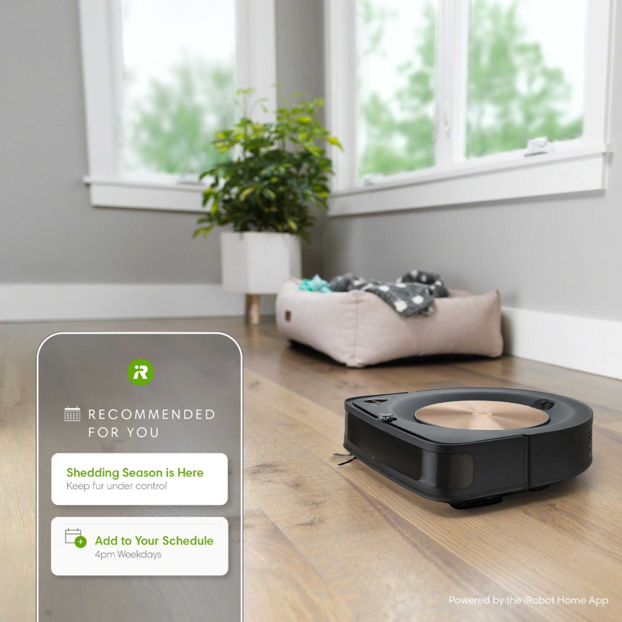 iRobot Roomba s9+ (9550) Wi-Fi Connected Self-Emptying Robot Vacuum - Java Black