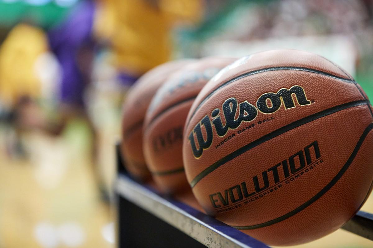 Wilson Evolution Official Game Basketball 29.5