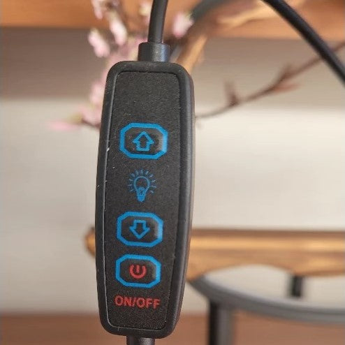 Backflow incense waterfall