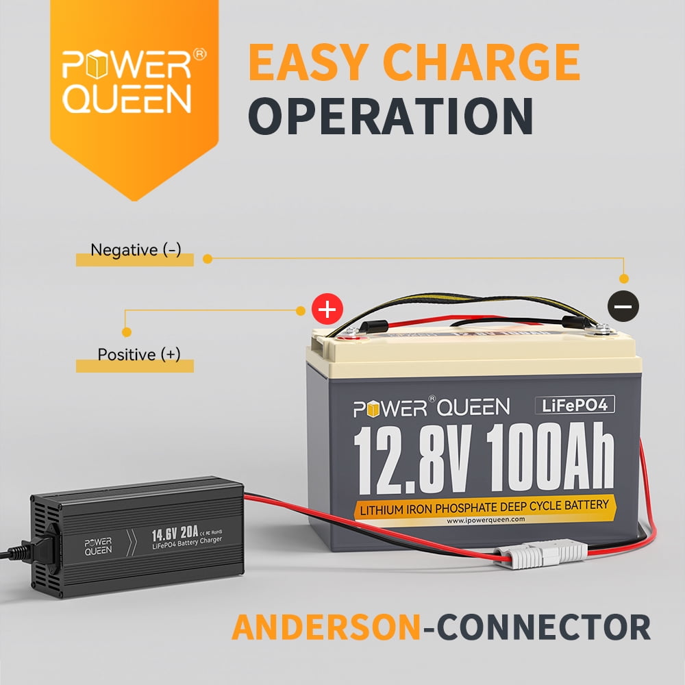 Power Queen 14.6V 20A Smart LiFePO4 Battery Charger and Maintenance