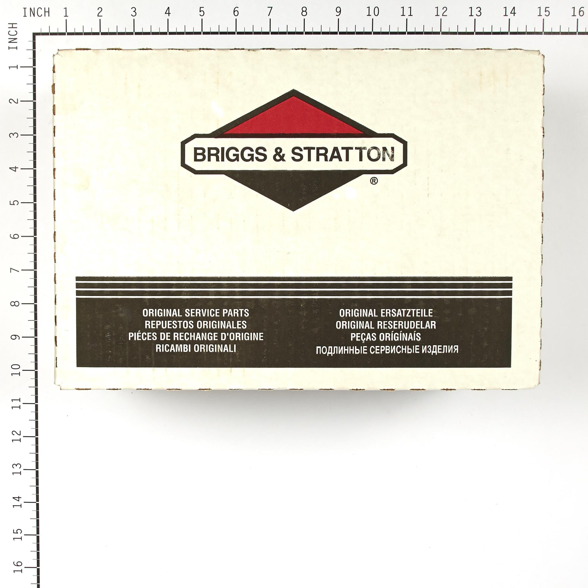 Briggs and Stratton Fuel Tank