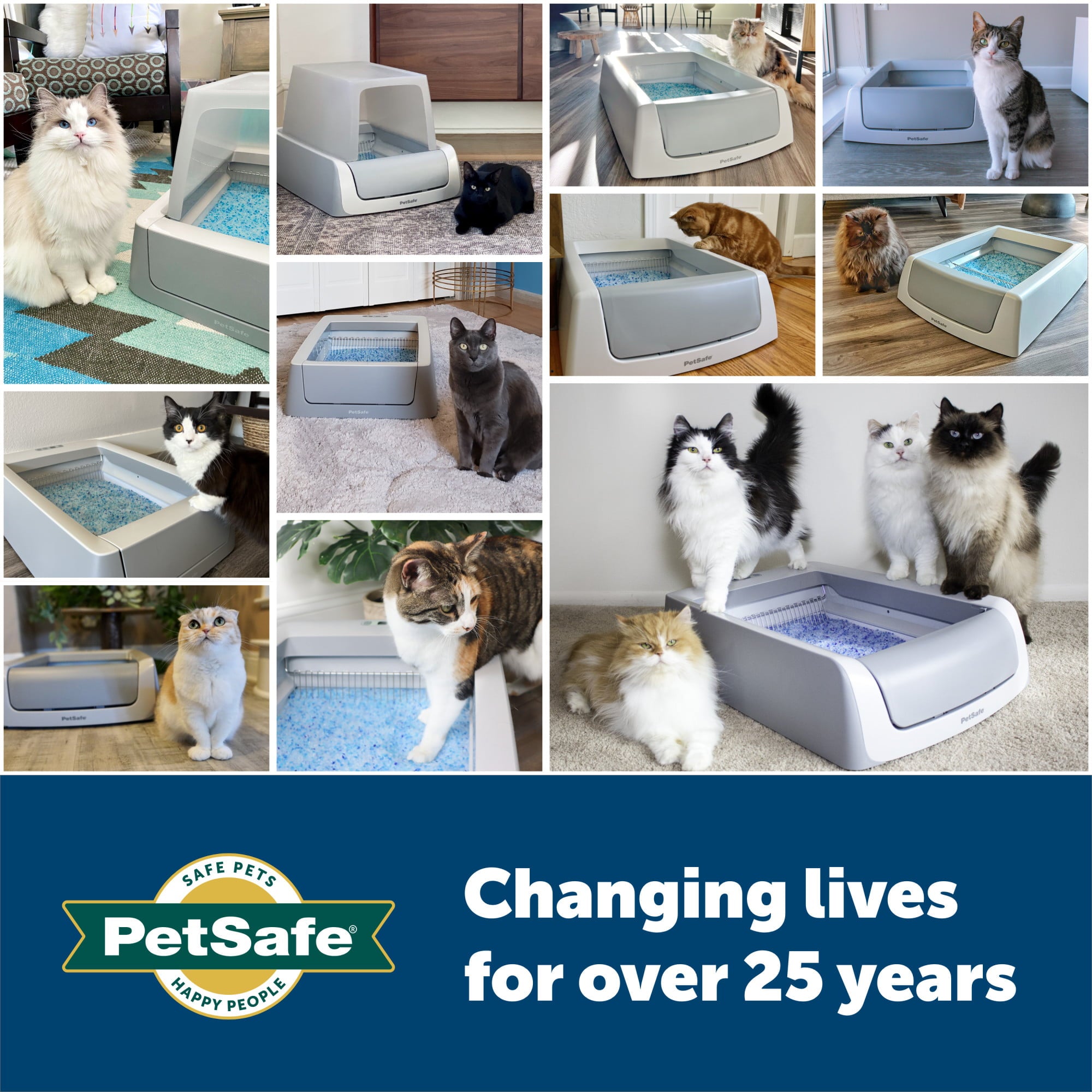 PetSafe ScoopFree Complete Replacement Blue Crystal Litter Tray�� 6-Pack Easy Cleanup with Disposable Tray Includes Leak Protection and Low Tracking Litter
