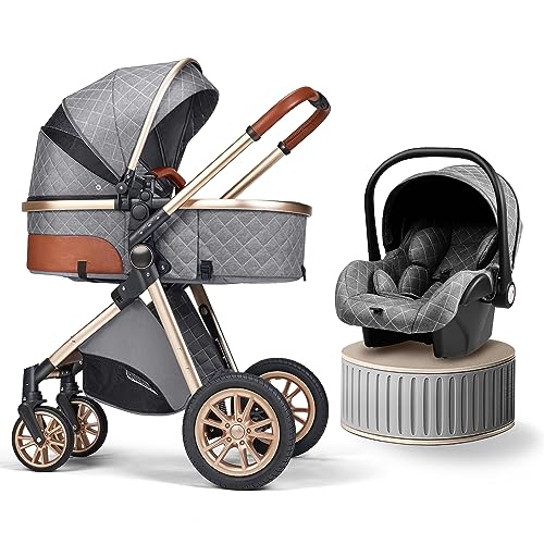 Stroller Pushchair Landscape Reversible Reclining