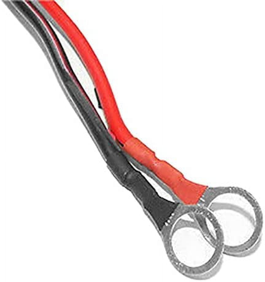 Automatic 12 Volt and 24 Volt Smart Battery Charger - Easy To Use - Durable