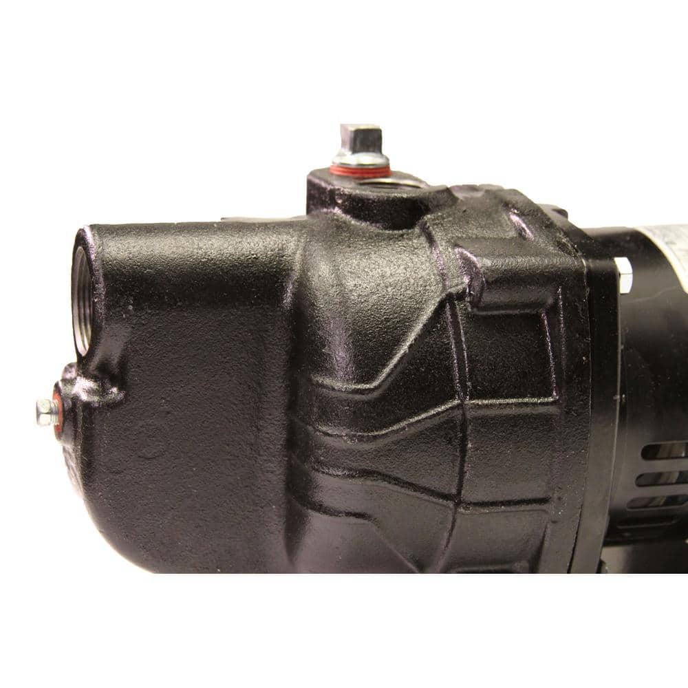 3/4 HP Cast Iron Shallow Well Jet Pump RSWS75