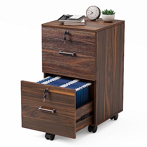 VINGLI Cabinet Folders Rolling Cabinets