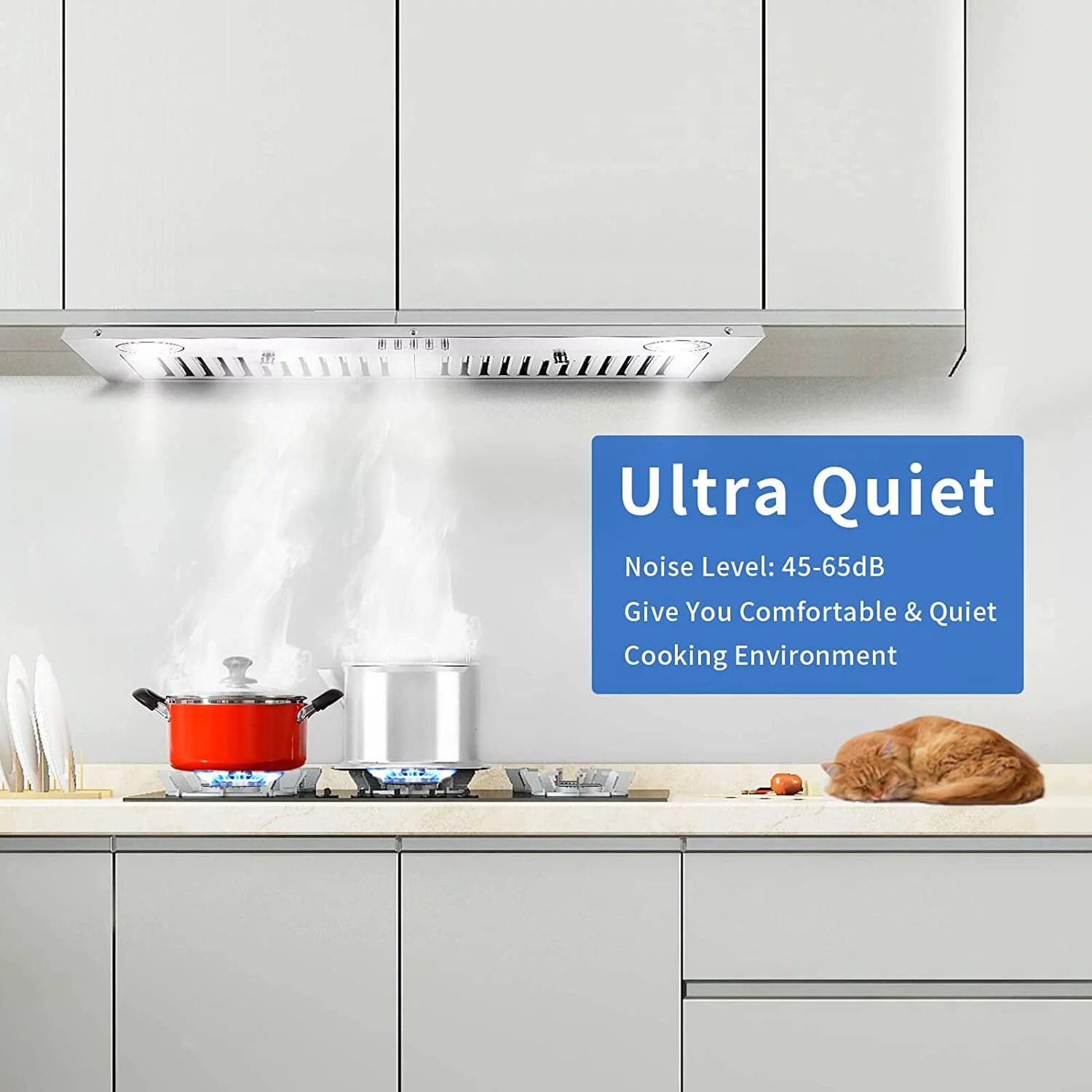 Range Hood 30-inch Built-in Insert Cooker Hood 600CFM Powerful Exhaust Vent Fan