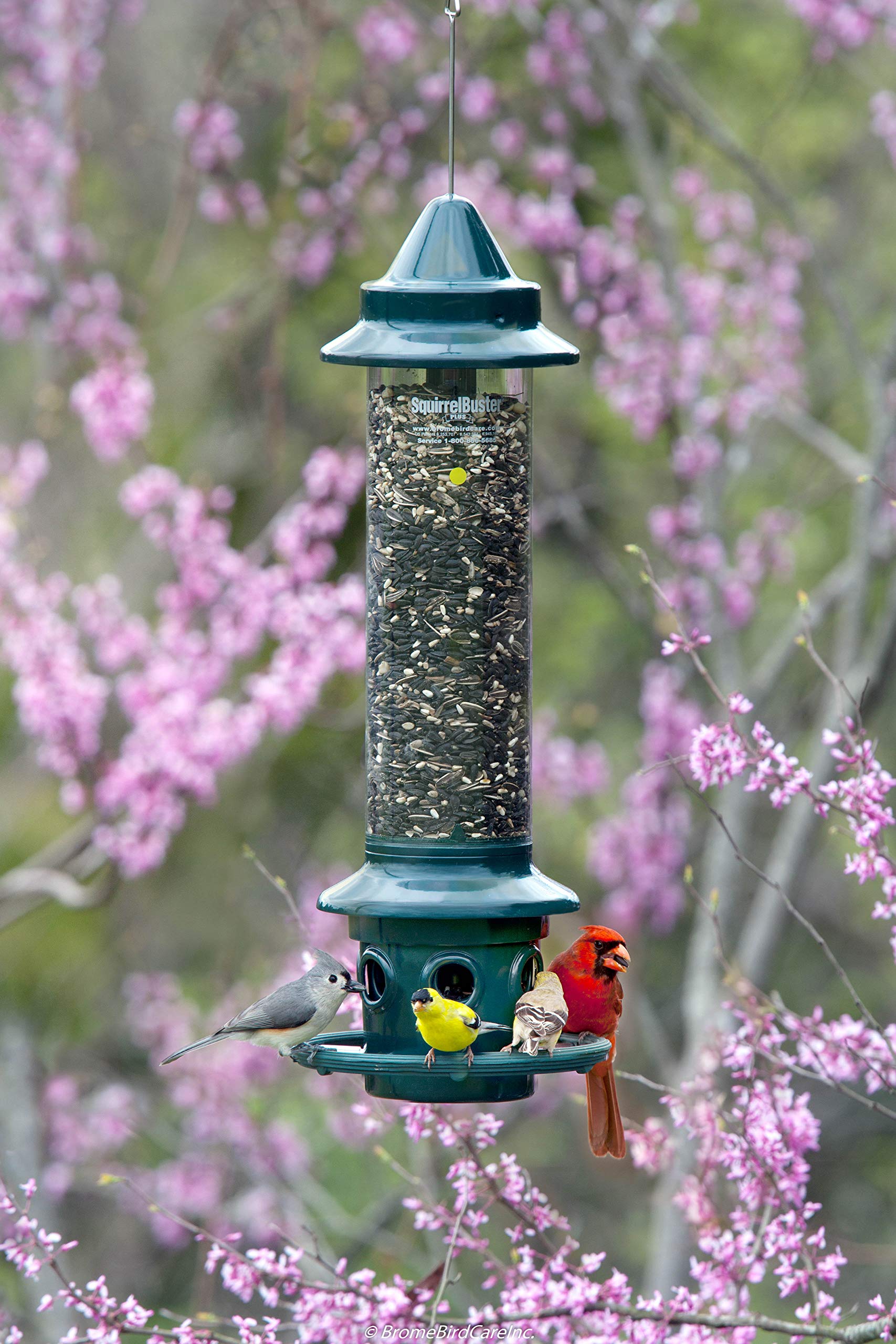 Squirrel proof 5 1 pound Adjustable Pole mountable SEPARATELY