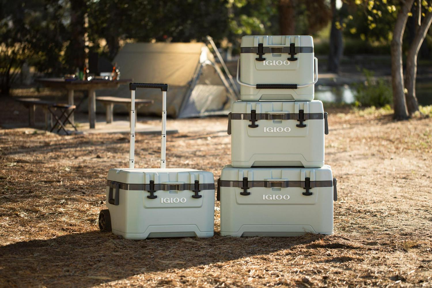 Igloo Overland 50 qt. Ice Chest Cooler， Green