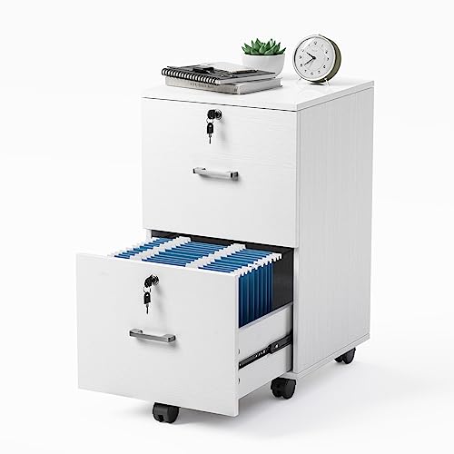 VINGLI Cabinet Folders Rolling Cabinets