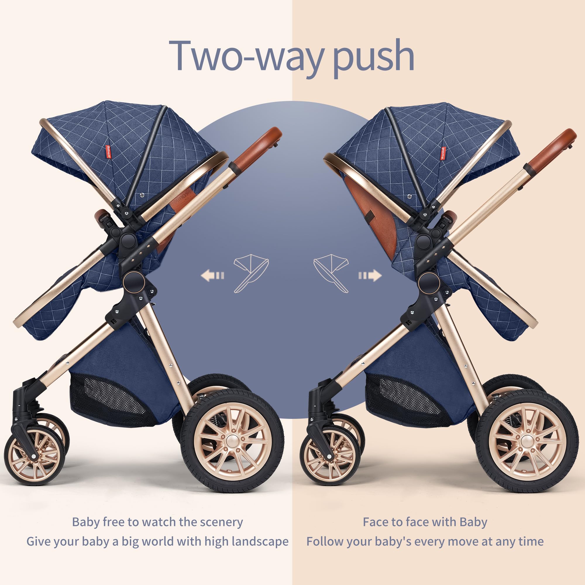 Stroller Pushchair Landscape Reversible Reclining