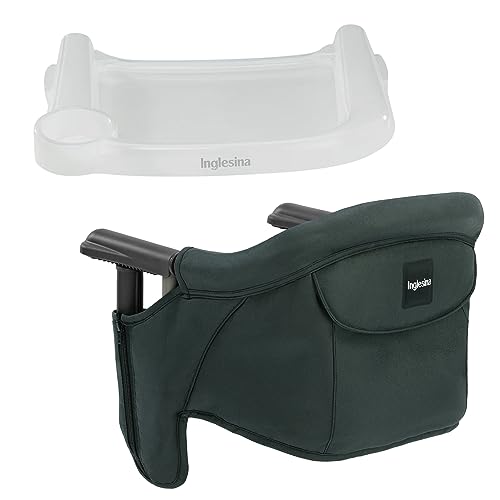 Inglesina Fast Table Chair Award Winning