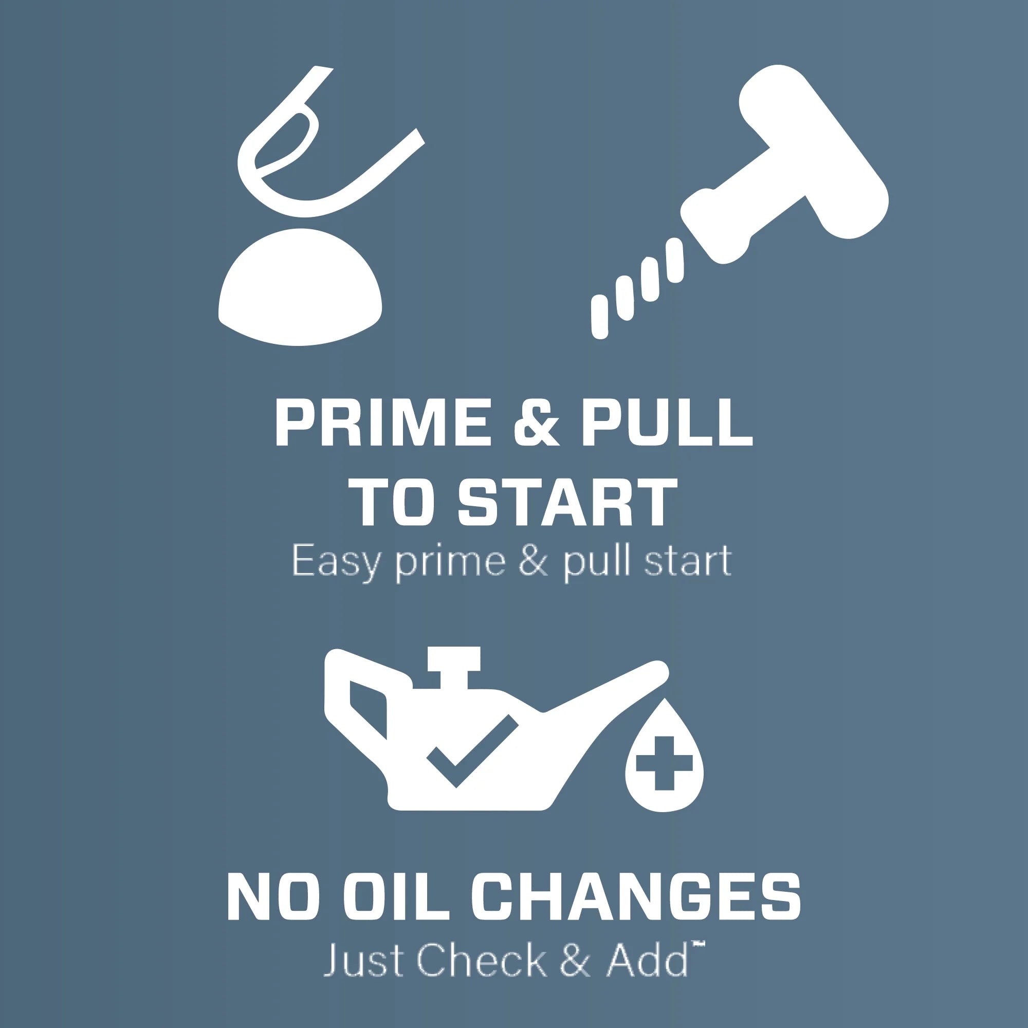 Senix Gas Push Lawn Mower, 21-Inch, 140 cc 4-Cycle Briggs & Stratton Engine, 2-in-1 Push Lawnmower, 6-Position Height Adjustment with Folding Capability, LSPG-M6