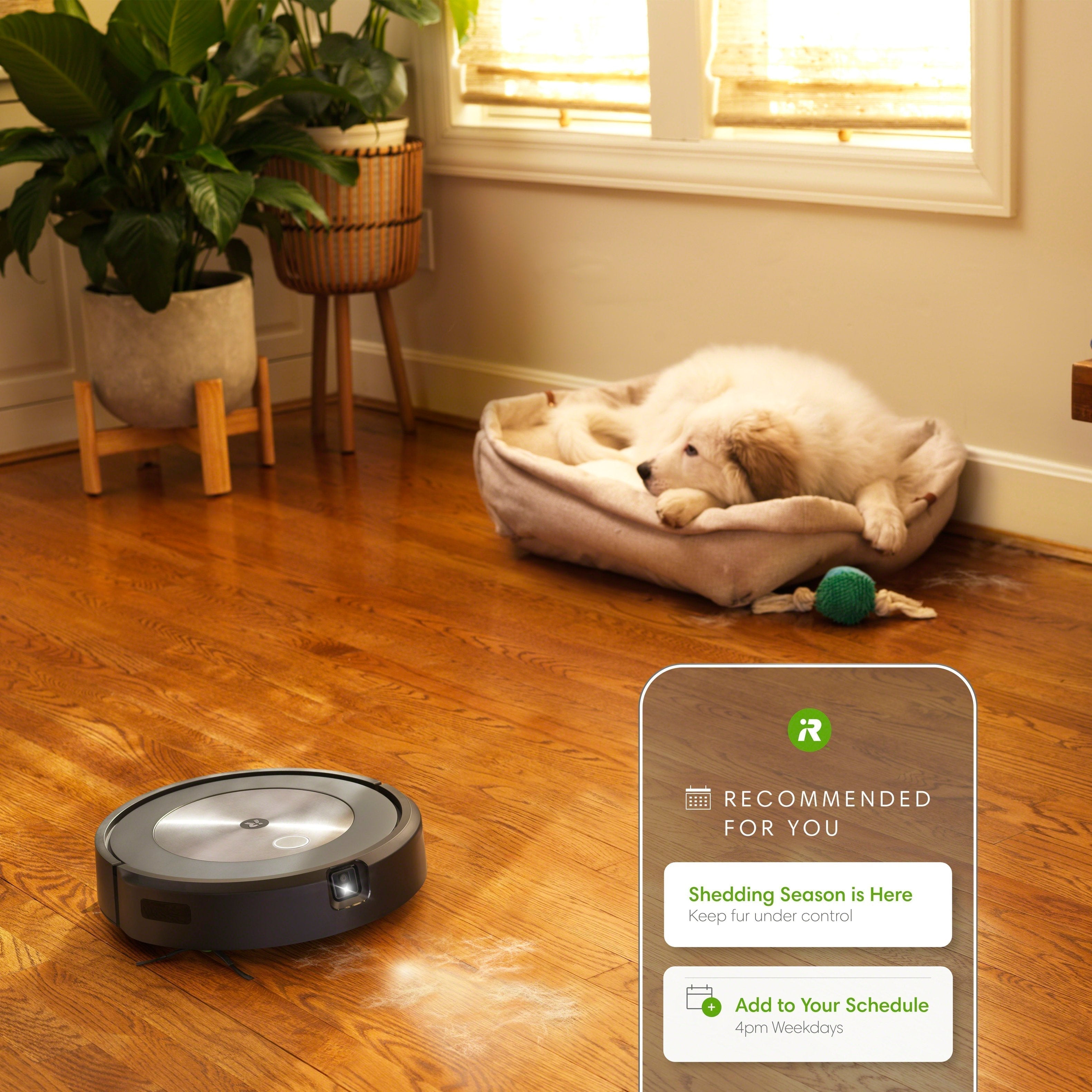 iRobot Roomba j7 (7150) Wi-Fi Connected Robot Vacuum - Graphite