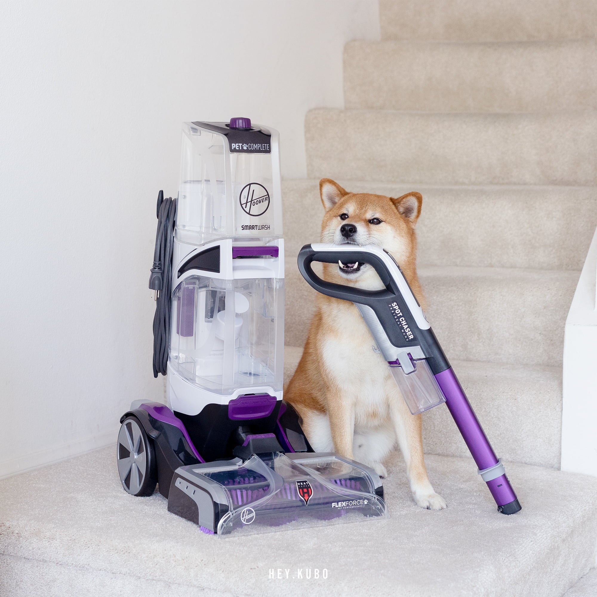 Hoover SmartWash Pet Complete Automatic Carpet Cleaner Machine， FH53010