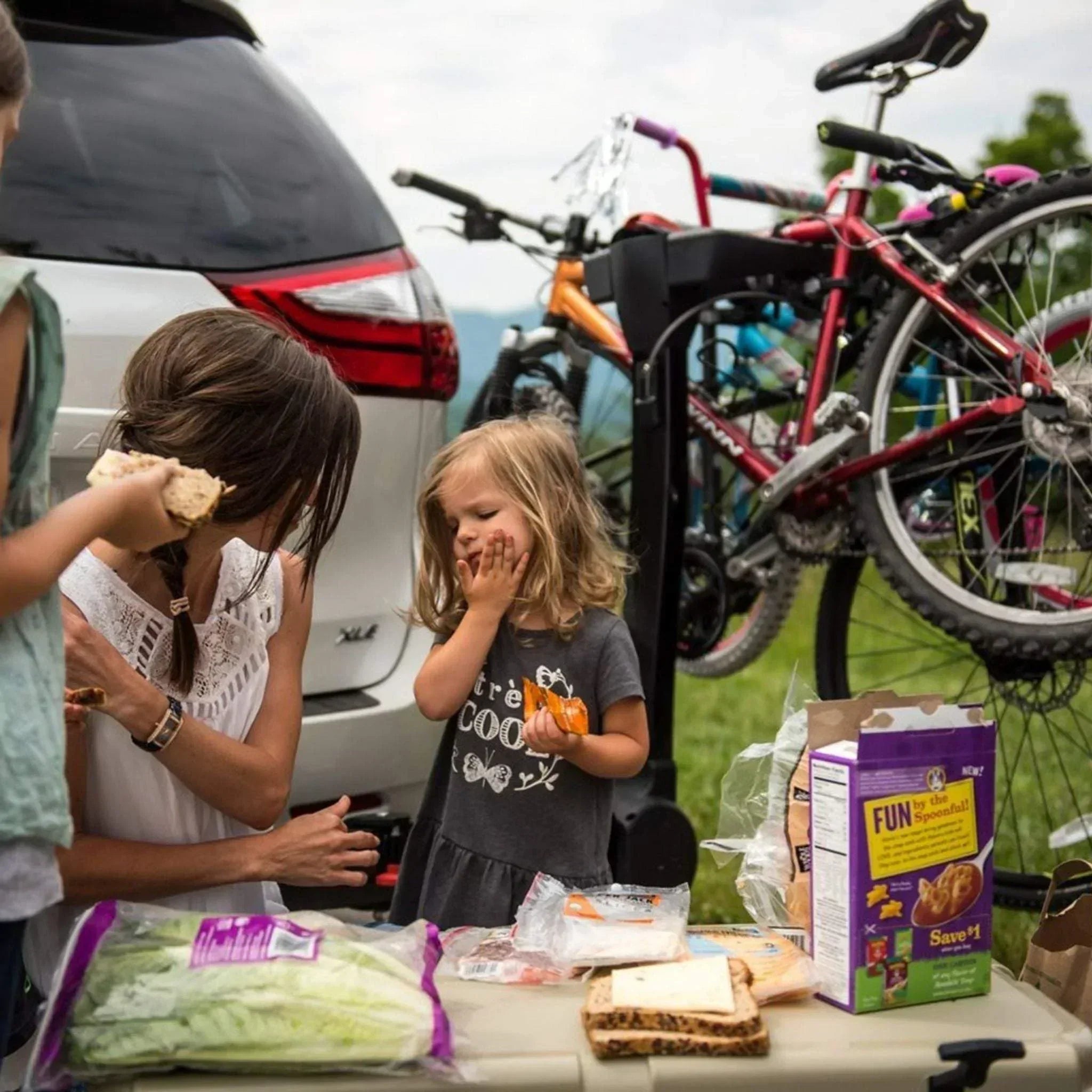 YAKIMA FullSwing Premium Swing-Away Hitch Bike Rack - 8002465