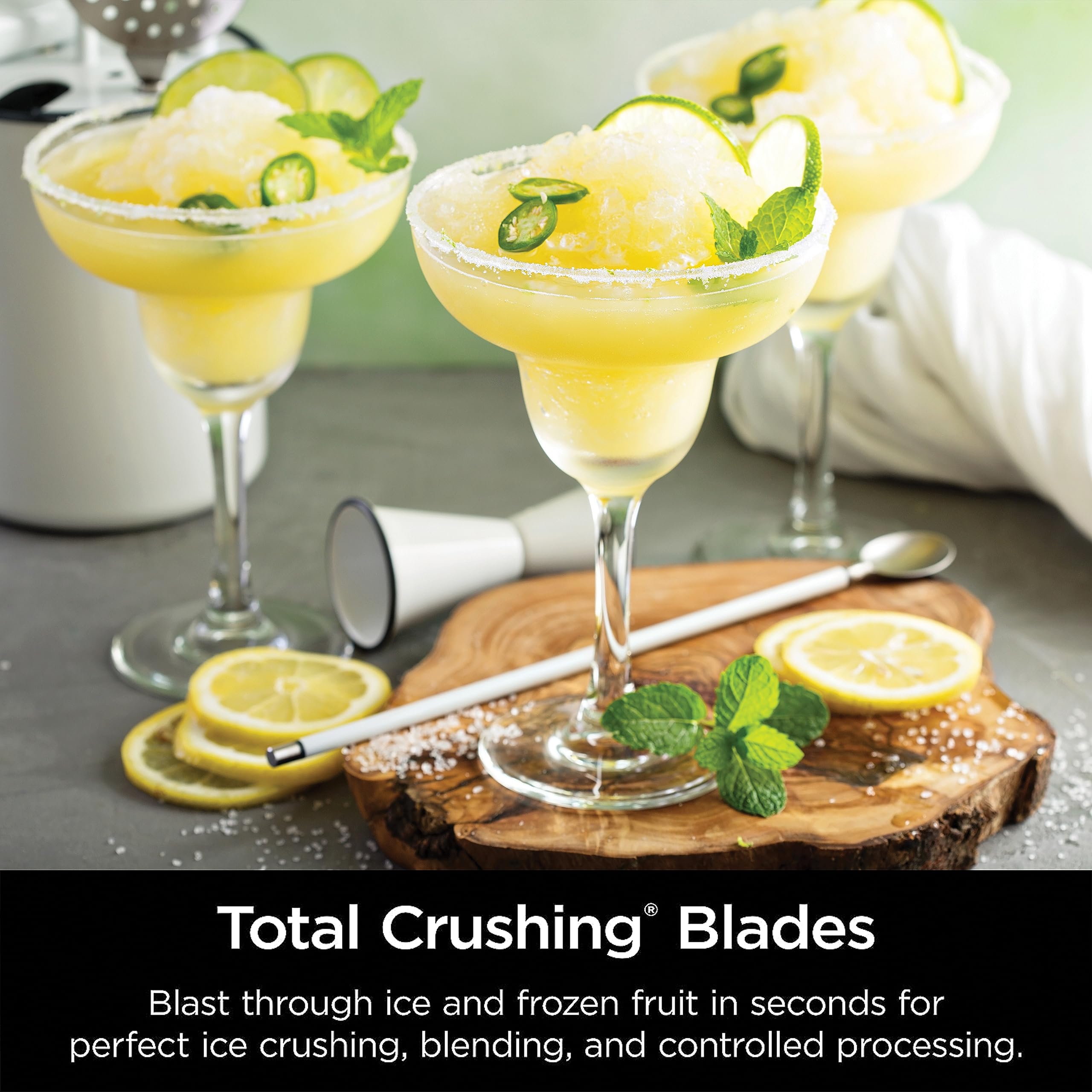 Ninja Professional Countertop 1100 Watt BL660