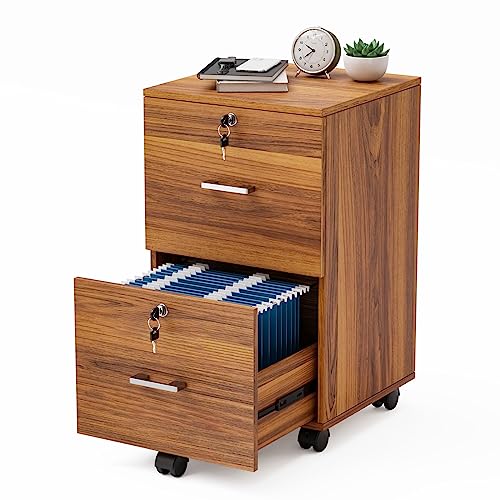 VINGLI Cabinet Folders Rolling Cabinets