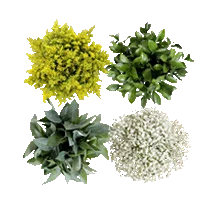 Bulk Flowers