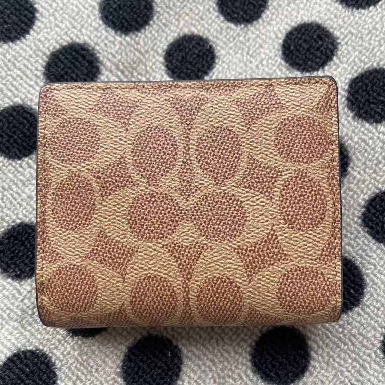 Women Handbag CW789 Snap Wallet In Signature Canvas
