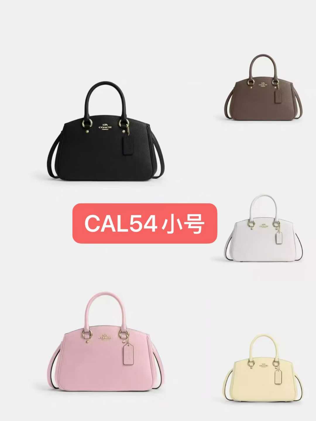 Women Handbag CAL54 Savannah Small Carryall Satchel Sling Bag
