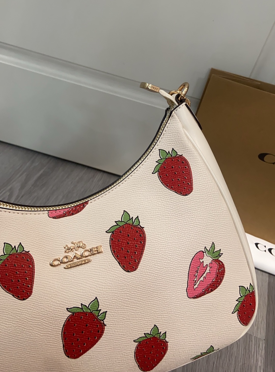 Women Handbag CAL67 Teri Hobo Shoulder Bag