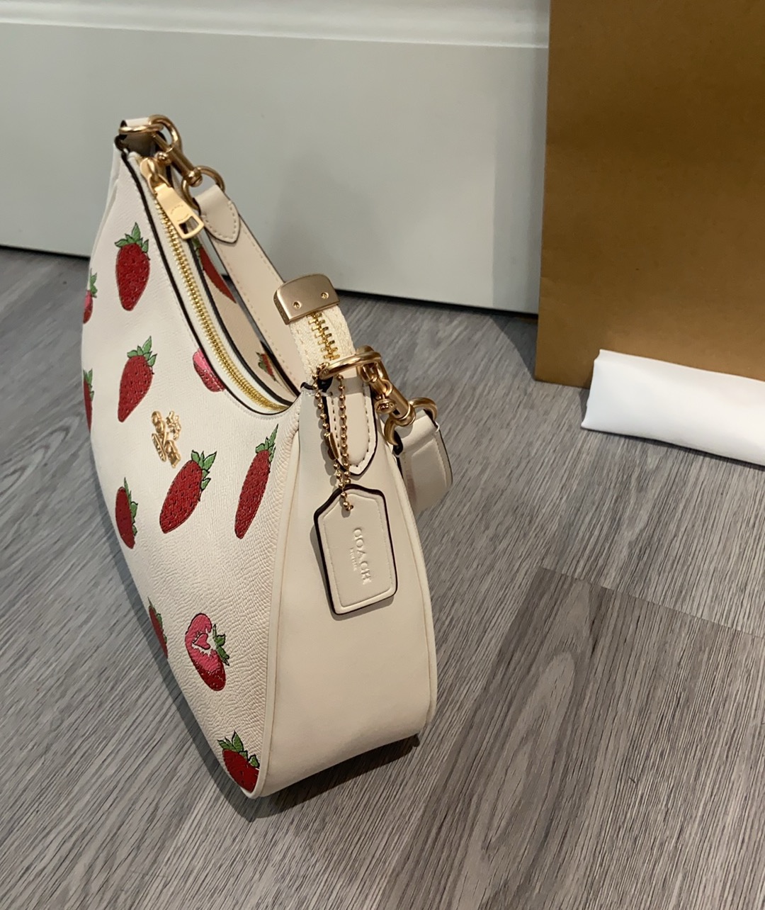 Women Handbag CAL67 Teri Hobo Shoulder Bag