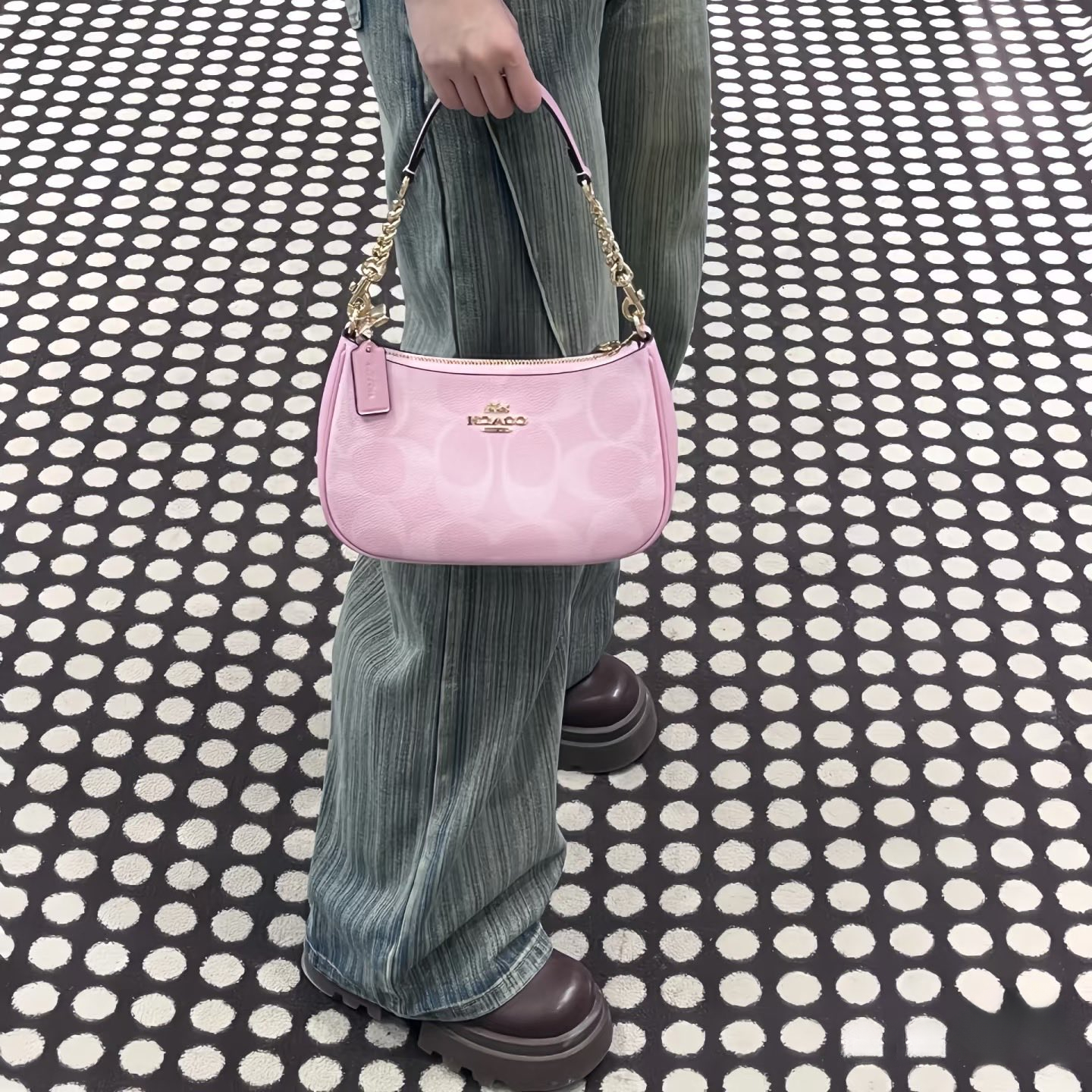 Women handbag CAL51 Teri In Signature Canvas sling chain Shoulder Bag
