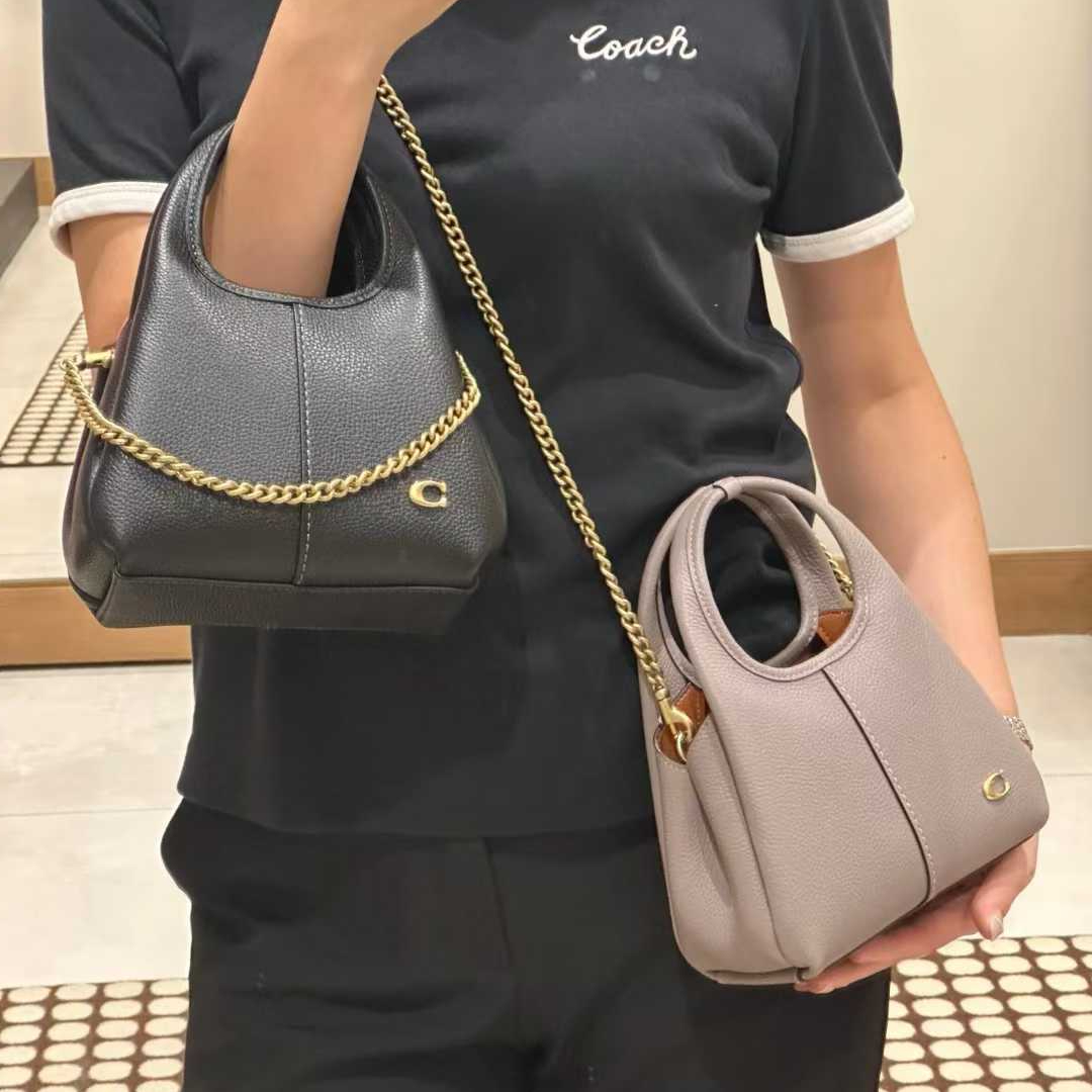 Women Handbag CCY32 CCY33 LANA 19 Sling SHOULDER BAG